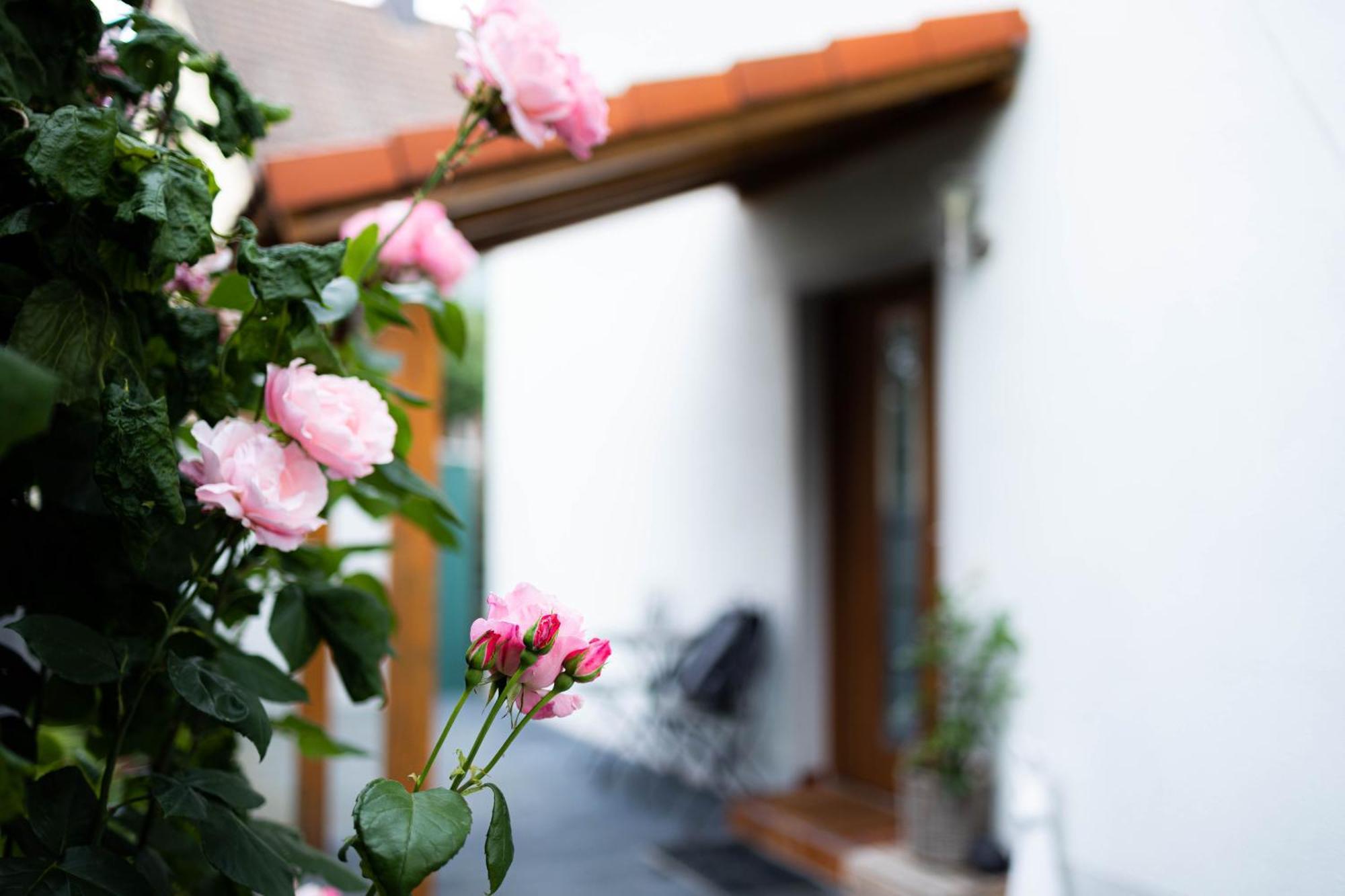 Anca's Haus * Schwanstetten